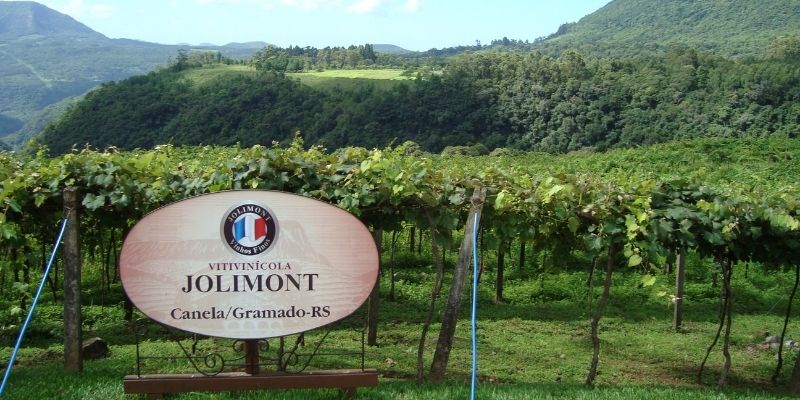 Vitivinícola Jolimont em Gramado - RS