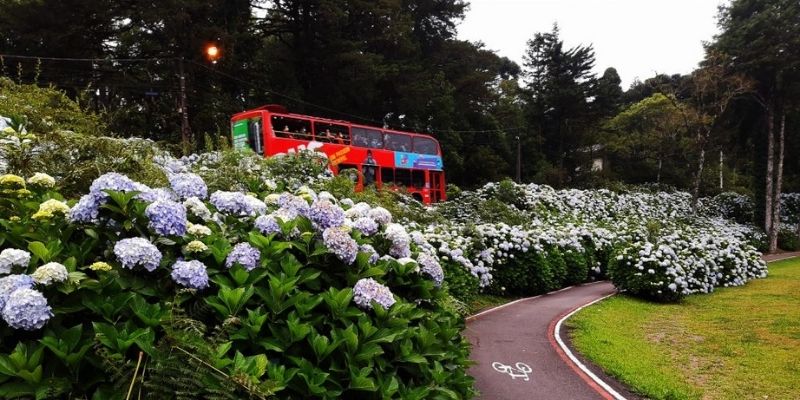 Bustour em Gramado