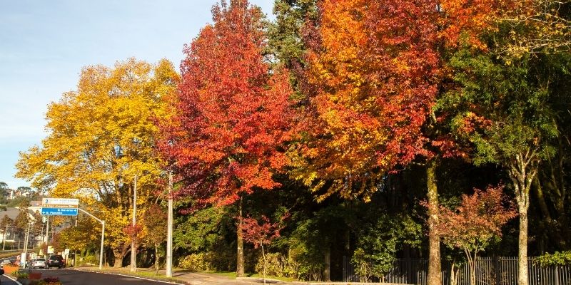 Ruas de Gramado - RS